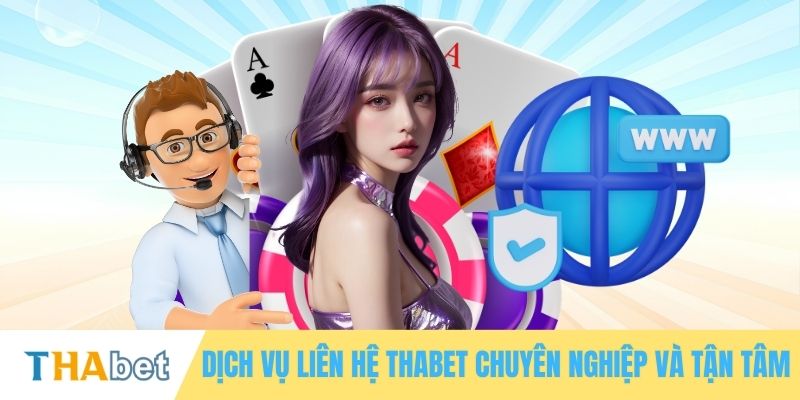 Dịch vụ liên hệ THABET chuyên nghiệp và tận tâm