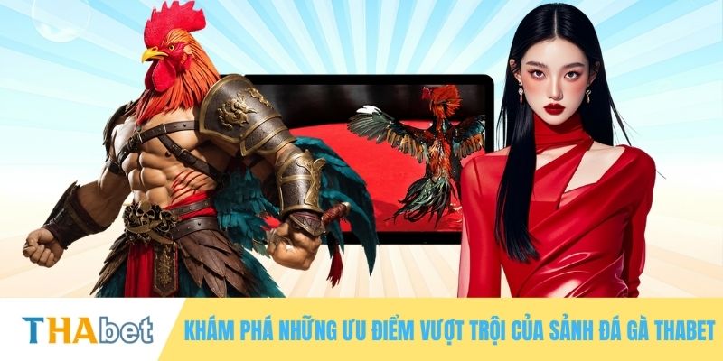 Khám phá những ưu điểm vượt trội của sảnh đá gà THABET