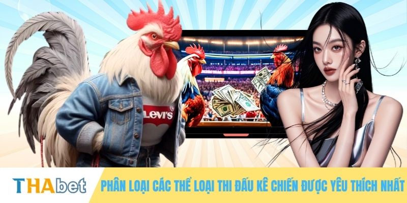 Phân loại các thể loại thi đấu kê chiến được yêu thích nhất