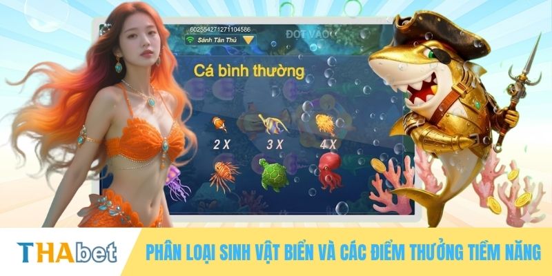 Phân loại sinh vật biển và các điểm thưởng tiềm năng