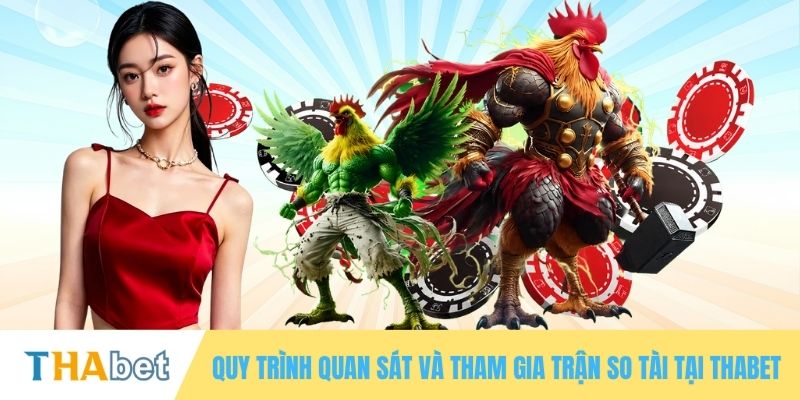 Quy trình quan sát và tham gia trận so tài tại THABET